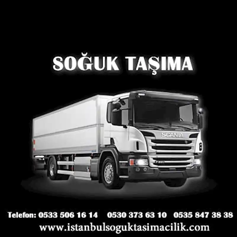 Adana Soğuk Nakliyat